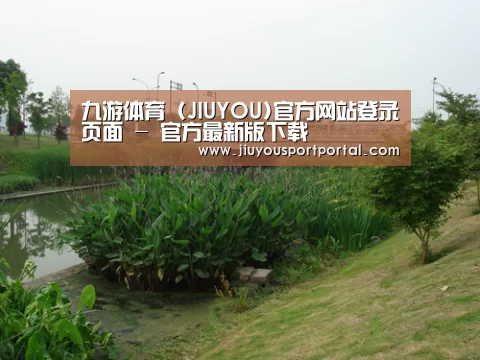 案例展示四(图1)