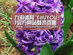 产品名称八