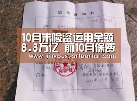 10月末险资运用余额8.8万亿 前10月保费同比增18.25%‘jiuyou’(图2) 九游体育入口